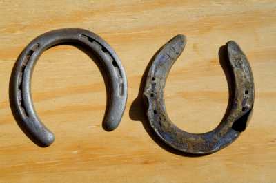 Horseshoes