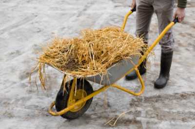 Mucking Stalls