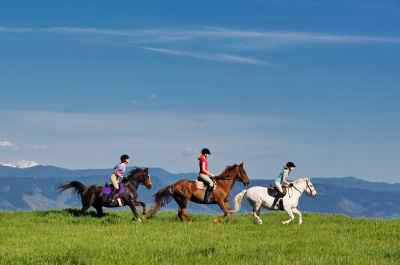 Cantering Along a Hilltop