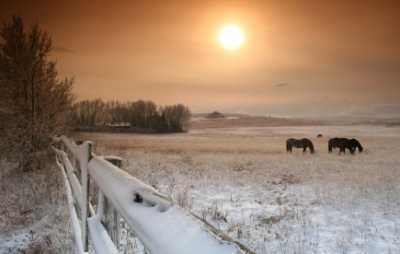 Winter Riding Dangers