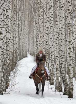 Winter Riding