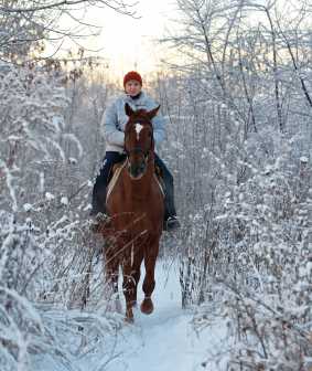 Riding Alone